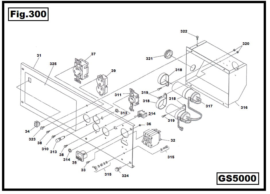 GS5000-320 TUERCA M4X12